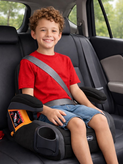 Chicco Booster Car seat